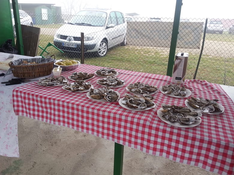 Matinée dégustation d’huîtres et saumon (18/12)